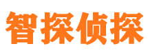 边坝外遇出轨调查取证